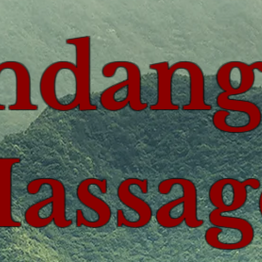Tawandang Traditional Thai Massage